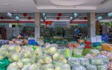 Bên trong siêu thị 'dã chiến' cung ứng thực phẩm cho người 'đi chợ hộ'