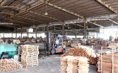 Xuất khẩu gỗ liệu có tiếp đà giảm?