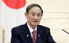 5 ứng viên 'nặng ký' có thể kế nhiệm Thủ tướng Nhật Bản Suga