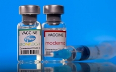 Bộ Y tế cho phép tiêm trộn vaccine Moderna và Pfizer