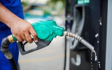 Giá xăng tăng mạnh hơn 570 đồng/lít, lên mức cao nhất trong 3 năm