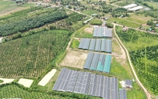 Đắk Nông: Sau đấu nối ồ ạt, nhiều dự án điện mặt trời mái nhà bị… ế