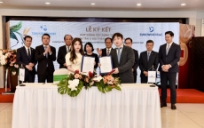 Tân Á Đại Thành hợp tác với Daewoo E&C tại dự án Phú Quốc