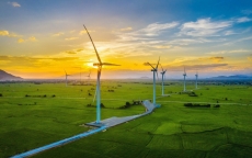 GWEC: Đến năm 2050, chỉ 43% công suất năng lượng gió được tạo ra cho mục tiêu net zero