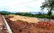 Chủ nhiệm Uỷ ban Kiểm tra Huyện ủy bị phạt 3,5 triệu đồng vì huỷ hoại đất