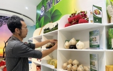 Việt Nam xuất siêu 20,19 tỉ USD trong tám tháng đầu năm