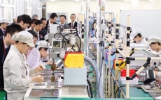 Nhật Bản có nhu cầu nhập khẩu nhiều mặt hàng thế mạnh của Việt Nam