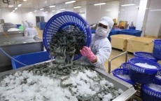 Tháng đầu năm, bất ngờ xuất khẩu thủy sản Việt sang Trung Quốc tăng gần 3 lần