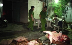 Kinh hoàng 2 cơ sở giết mổ, mua bán lợn chết - bệnh