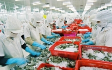 Trung Quốc đứng đầu thị trường xuất khẩu nông sản Việt Nam