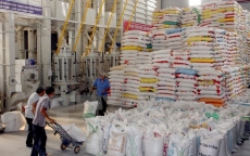 Xuất khẩu gạo Việt Nam và câu chuyện tập trung nâng cao chất lượng sản phẩm