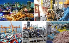 9 nhiệm vụ trọng tâm để cơ cấu lại nền kinh tế giai đoạn 2019-2020