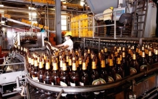 Bia, sữa trong “tầm ngắm” của nhà đầu tư Thái