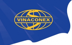 Vinaconex ồ ạt thoái vốn tại công ty con