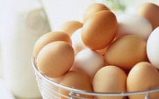 Trứng gà sạch: Đừng hiểu là trứng gà quê!