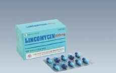 Bộ Y tế yêu cầu truy xuất nguồn gốc thuốc Lincomycin 500mg giả