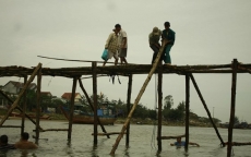 Người dân Đông Yên 3 (Quảng Ngãi) bắc cầu gỗ đón Tết