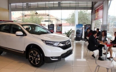 Toyota và Honda tạm ngừng xuất khẩu ô tô sang Việt Nam