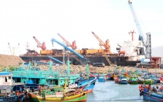 Cảng hàng “nuốt” cảng cá