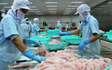 Mỹ từ chối nhập cá tra xông khói của Việt Nam