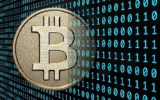 Giá Bitcoin hôm nay 2/2: Nhà đầu tư thất thần vì Bitcoin lao xuống “vực sâu” 8.000 USD