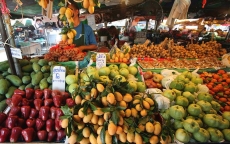 Cao điểm Tết: Việt Nam 'chi' hơn 55 tỷ đồng mỗi ngày nhập trái cây Thái Lan