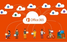 Những tiện ích không nên bỏ qua của Office 365