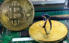 Giá Bitcoin hôm nay (2/3): Chân dung kẻ khổng lồ trong ‘nền kinh tế’ Bitcoin