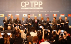 Ngân hàng Thế giới nhận định về tác động của CPTPP tới Việt Nam