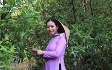 Cô gái Bến Tre mang đặc sản rừng nước mặn lên phố