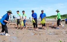 Quỹ 1 triệu cây xanh cho Việt Nam đến Đất Mũi