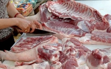 Giá thịt lợn tăng dựng đứng từng ngày