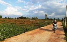 Vụ phá nát quy hoạch tại Gia Lai: Xẻ bán 320 lô đất dự trữ phát triển công nghiệp trái phép