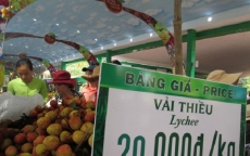 Trung Quốc trúng mùa, trái vải Việt Nam rớt giá sớm
