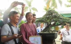Cây Linh sam 500 triệu của danh hài Hoài Linh đạt giải nhất cuộc thi bonsai