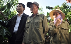 Nestlé Việt Nam thúc đẩy quyền năng phụ nữ, đồng hành xây dựng nông thôn mới
