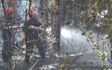 Huy động 200 người cứu 2 ha rừng thông ở Huế bị cháy