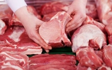 Việt Nam chính thức xuất khẩu thịt lợn theo đường chính ngạch