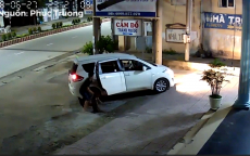 Video: Đi ô tô, dùng súng điện trộm chó nhanh như chớp