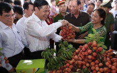 Nông sản Việt Nam đã chinh phục các thị trường “khó tính”