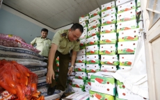Tịch thu gần 4 tấn cà rốt Trung Quốc nhập lậu