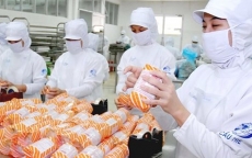 Ngành công nghiệp thực phẩm Việt Nam đang dần chuyển mình