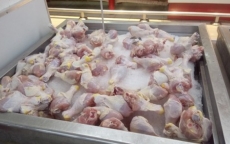 Gần 88.000 tấn thịt gà giá rẻ về Việt Nam trong 6 tháng, giá trung bình 22.000 đồng/kg