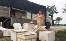 Thanh Hóa: Bắt xe tải việc vận chuyển 250kg thịt gà không rõ nguồn gốc