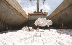 Trầy trật xuất khẩu gạo sang Trung Quốc