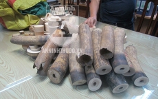Hà Nội: Thu giữ 179kg vật phẩm nghi là ngà voi ở Thường Tín