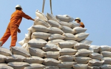 Nghị định 107: Quy định mới về điều kiện kinh doanh xuất khẩu gạo