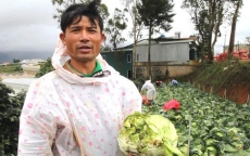 ĐIỀU TRA: Nông sản Trung Quốc nhái - nỗi đau của nông dân Đà Lạt