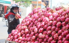 Vì sao nông sản Việt gặp khó tại thị trường Trung Quốc?