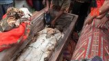 Video: Kinh hãi lễ hội diễu hành xác chết ở Indonesia